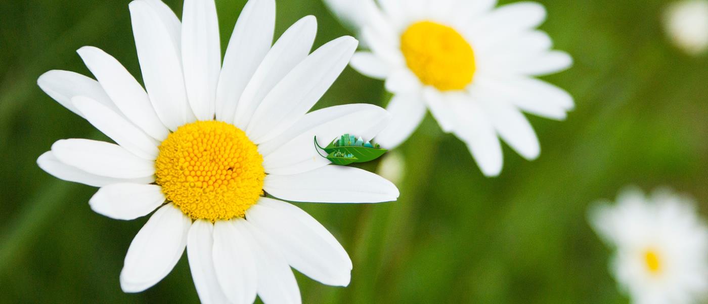 هوای پاک، موهبتی ست الهی