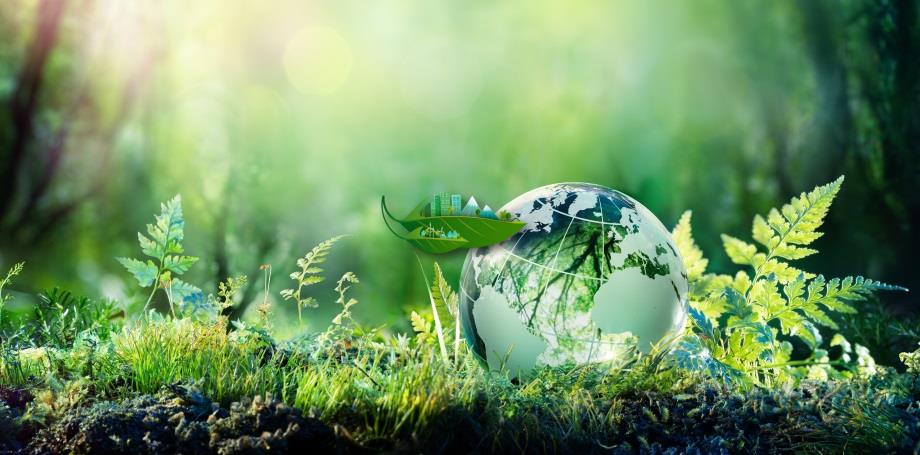 هوای پاک، موهبتی ست الهی