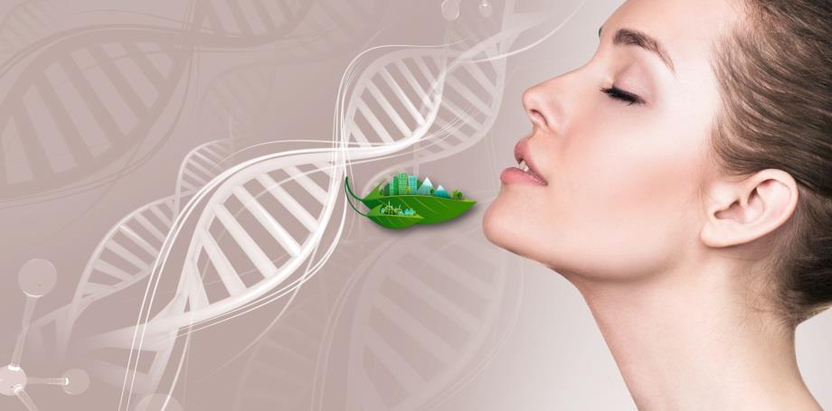 هوای پاک، موهبتی ست الهی